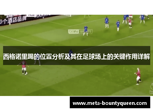 西格诺里踢的位置分析及其在足球场上的关键作用详解