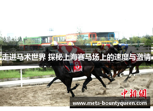走进马术世界 探秘上海赛马场上的速度与激情