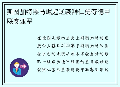 斯图加特黑马崛起逆袭拜仁勇夺德甲联赛亚军
